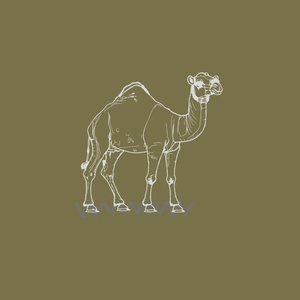 Camel Products