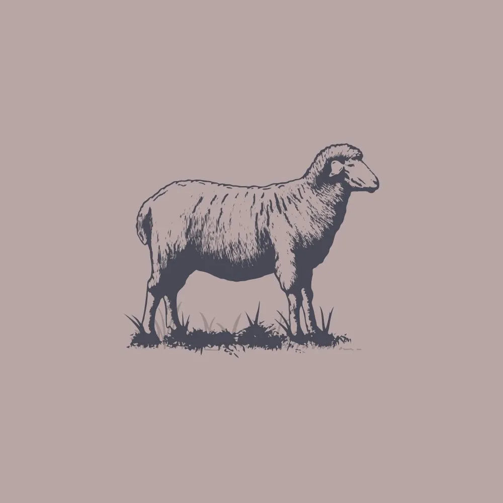 Lamb Products