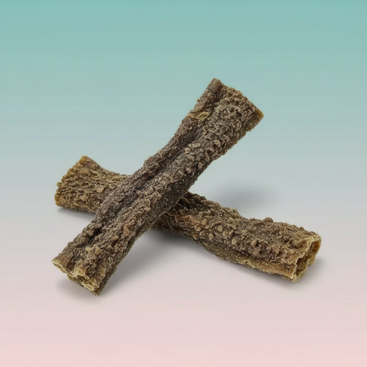 Unveil the joy of our Beef Tripe Sticks for Dogs - protein-rich, low-fat treats perfect for training rewards! Ideal for dogs with sensitive stomachs, they promote dental health and are 100% natural!