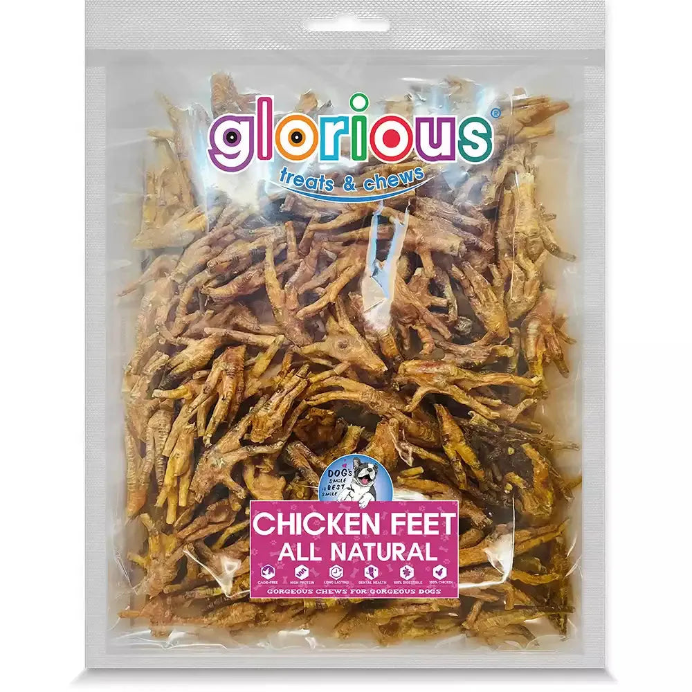 Premium Chicken Feet Dog Treats for your beloved pet! Natural, healthy, and flavorful, they're perfect for training rewards and suitable for all dogs, offering a variety of delightful flavors.