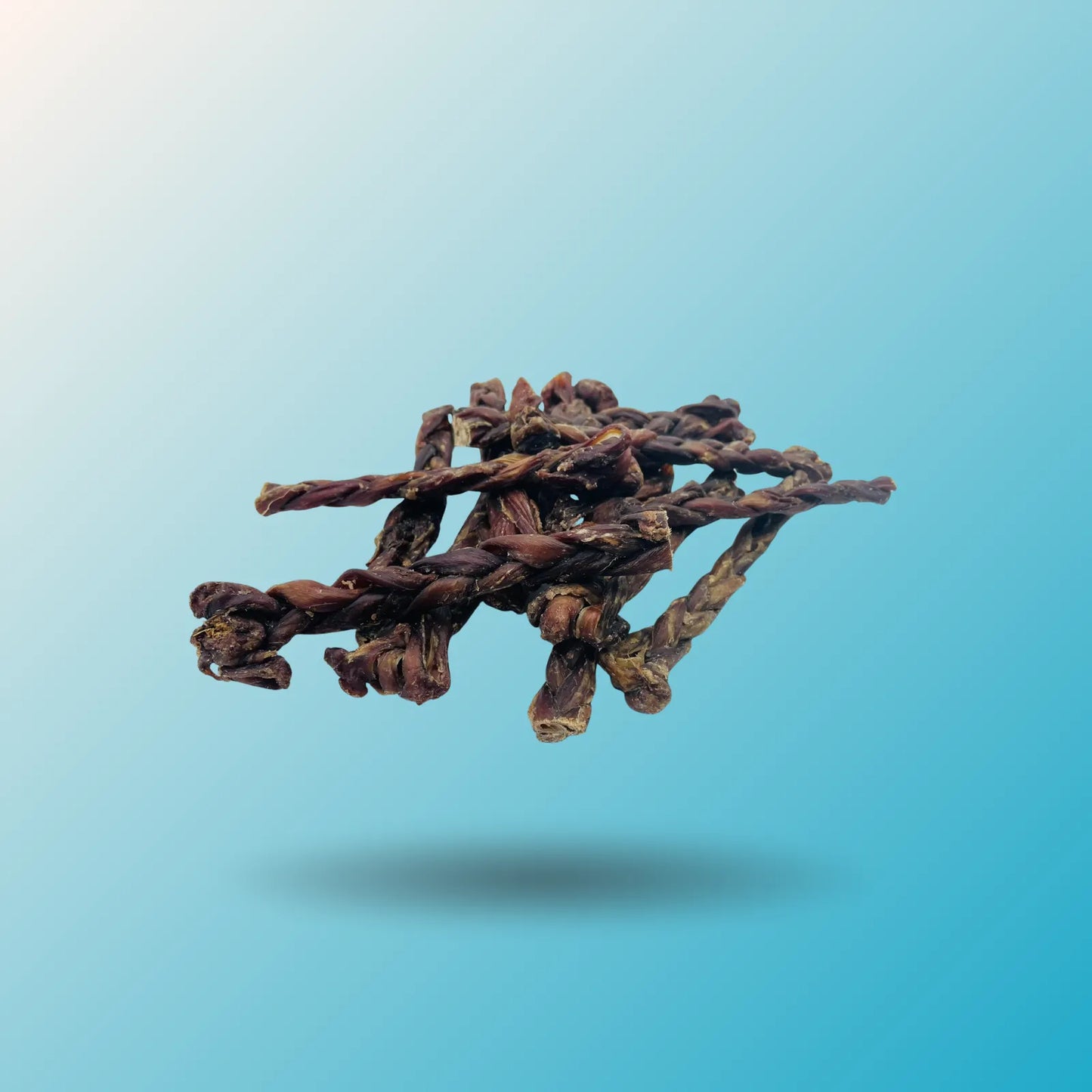 Braided Lamb Gullet Chews