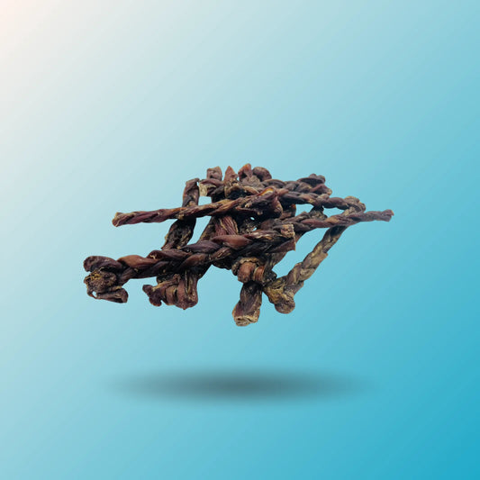 Braided Lamb Gullet Chews