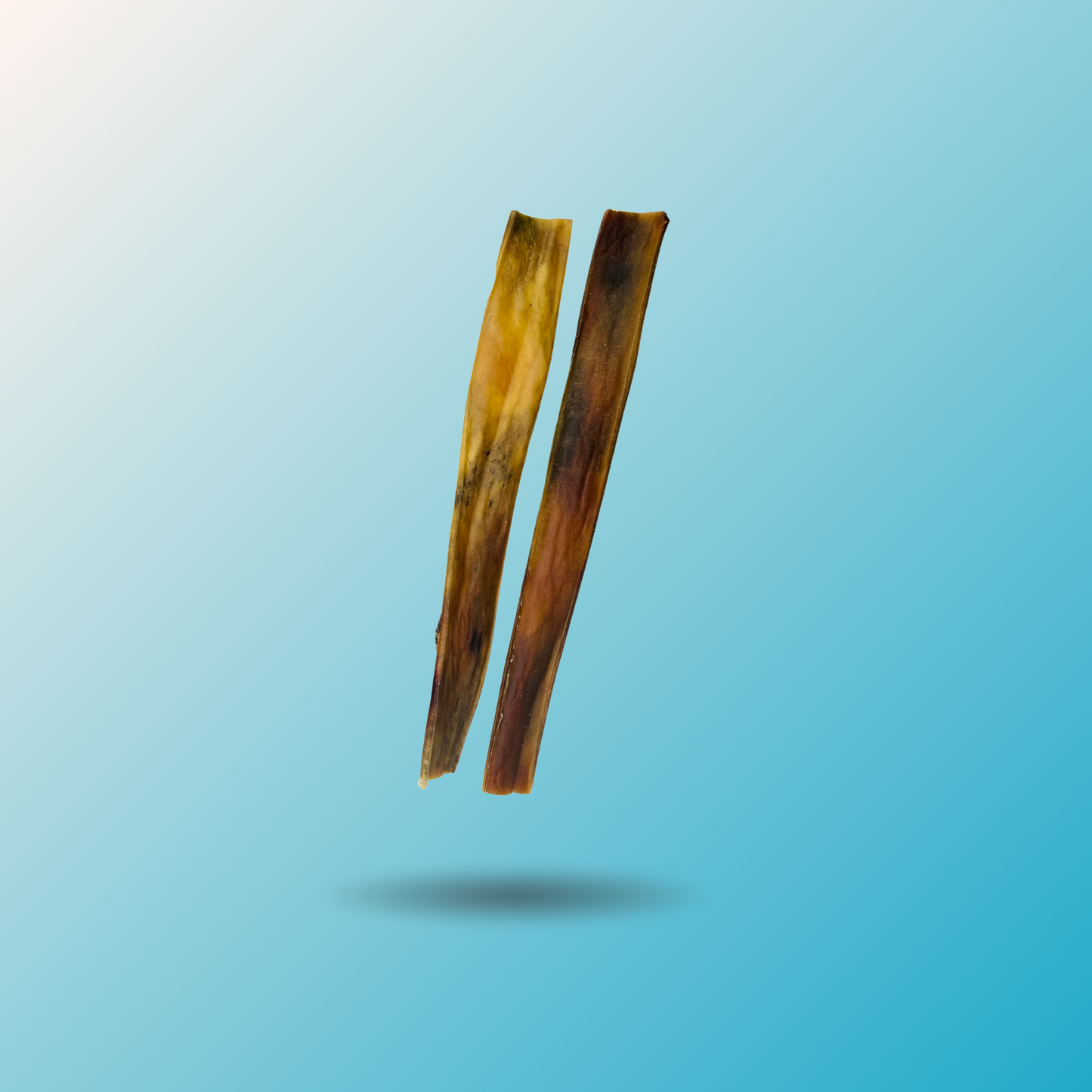 Camel Skin Sticks and Braids Chews