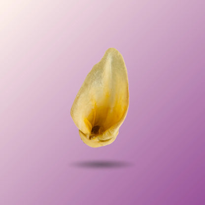Cow Ear Chews