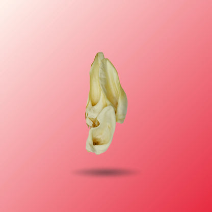 Goat Ear Chews