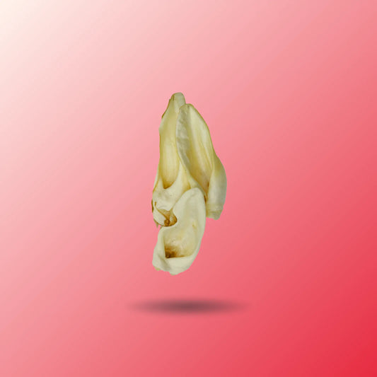 Goat Ear Chews