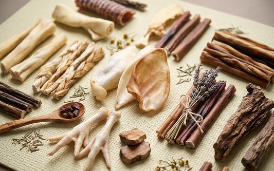 The Ultimate Natural Chew Discovery Box