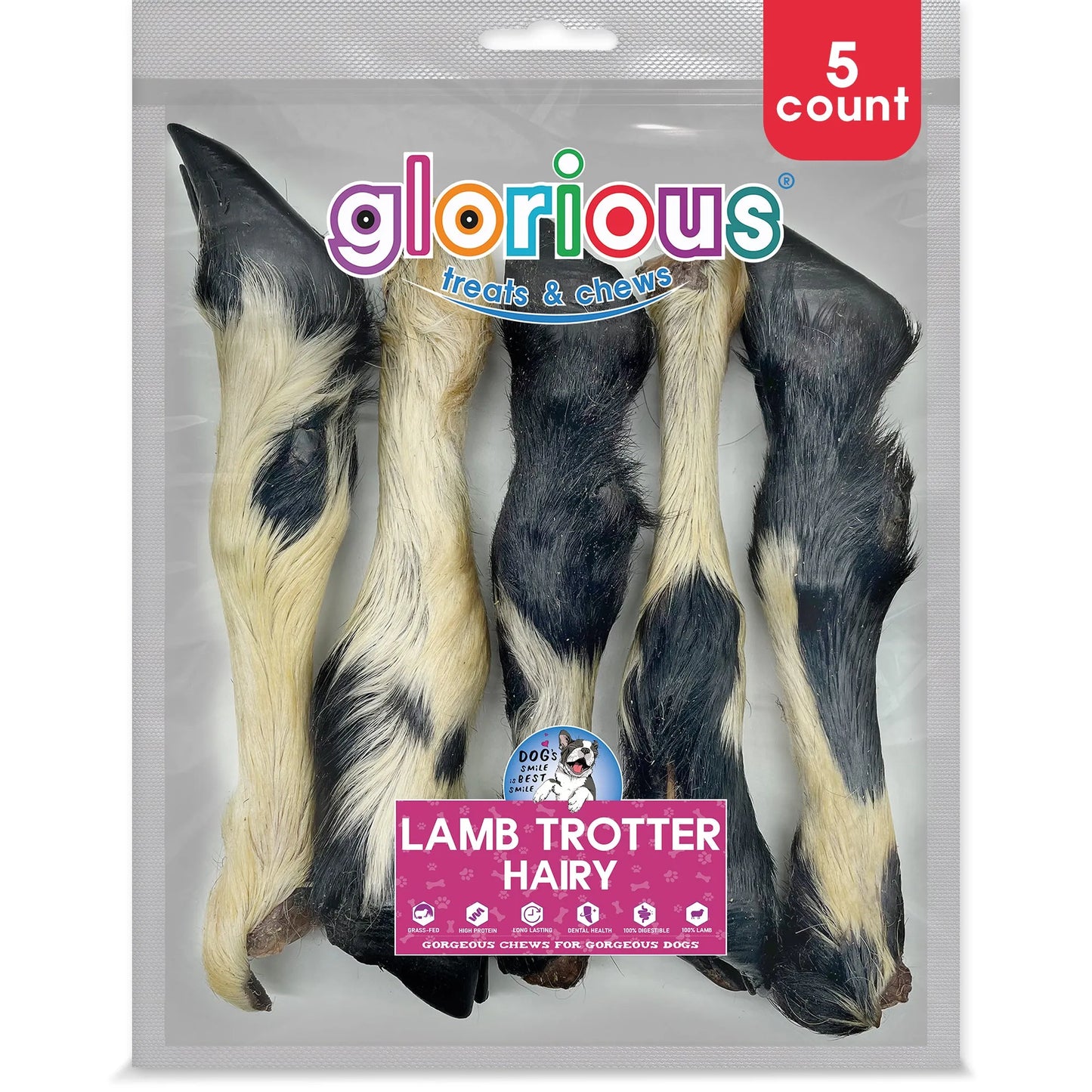 Lamb Trotter